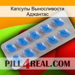 Капсулы Выносливости Аджантас 22